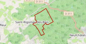 St Rigomer 8,3 km (hiver) RG