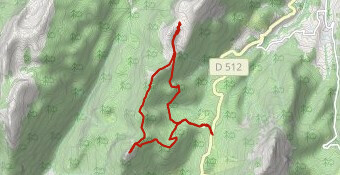 la pinea mt fromage ,chalet charmant som