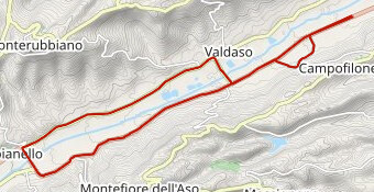 TROFEO PASTA DE CARLONIS 2023