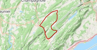 Etoile du Jura 2024 - Dimanche 12 05 - Mont Noir