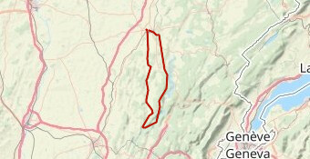 CMJ 2024 parcours découverte  Bis