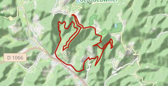Ranspach foret => Markstein