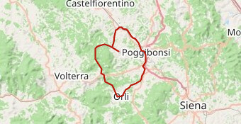 Vernaccia 2024 medio