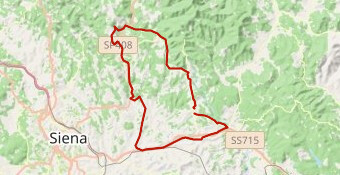 Chianti Classic 2024 corto