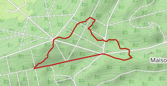 Chêne au Verdier 7.2 km (hiver) RG