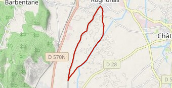 souvenir thomas  jacovetti