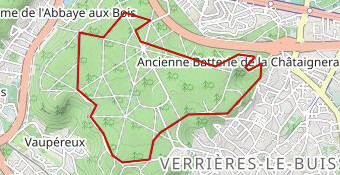 Verrières-le-Buisson (91370), 8,1 km, Bois