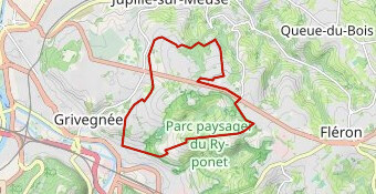 RDV RUN BEYNE-HEUSAY 13/06/2018