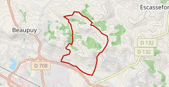 Championnat d'Aquitaine des jeunes