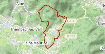 Baerenberg-Albéville