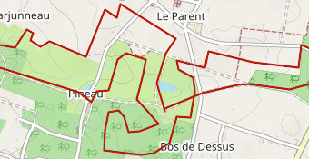 Trail du Marathon de Sauternes