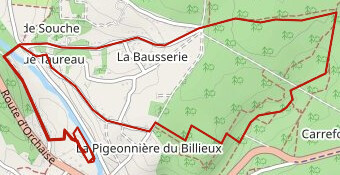 8km Trail des Moulins