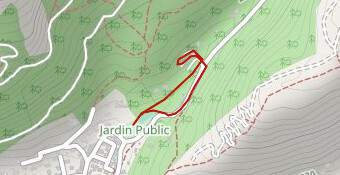 Trail enfant Ruban Vert