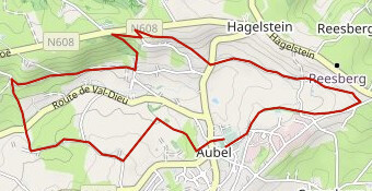 Trail Aubel 11km 29 avril 2017