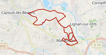 Semi-marathon de Maraussan