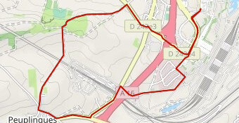 CARREFOUR MARCHE 2014 - 10km 