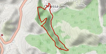 Omessa Marche 4ème édition (10.05.2018) 