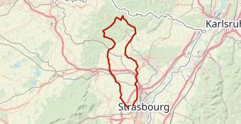 étang de Hanau avec l'AC Erstein