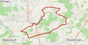 passion cycles team co vit challenge #2