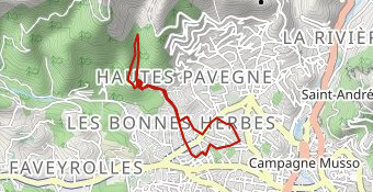 Pin d'Alep Vallon des Bonnes Herbes