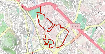 Sainté Rose N°2024