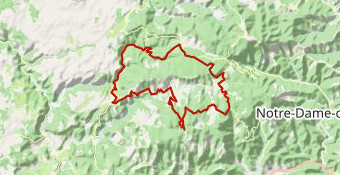 COL H MORT TREVES CAMPRIEUX