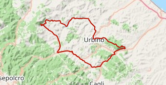 Proposta Danilo Carpegna