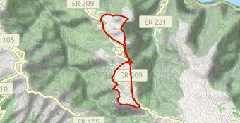 Rando dans la forêt de Fanal - Madère