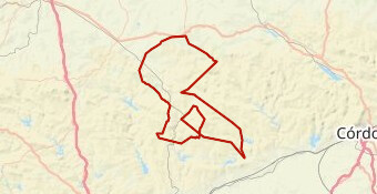 BRM 300 km. PUEBLA INFANTES 2024 GRAVEL-17951746