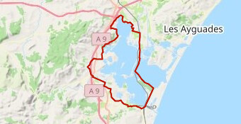 GRAVE DE L'ETANG DE BAGES