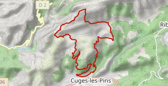 Trail ruban vert 2024 (19/20 k) essai