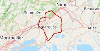 La tour carbonière 2023