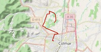 TRANSITION 2021 COMPLETE