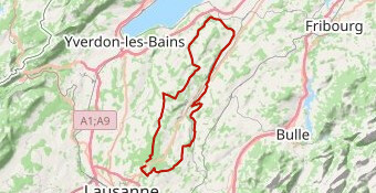 Journée du Vélo - 100km