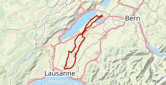 Journée du Vélo 2019 - 150km 