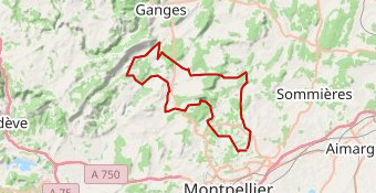 La Teyrannaise parcours long 2024 v2