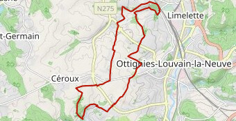 Limauges (Court-St-Etienne)