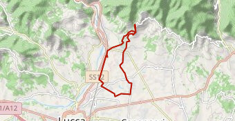 7km + 4km 4/5% salita + 7km