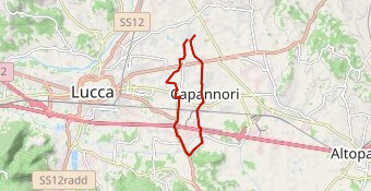 Giro 16 km