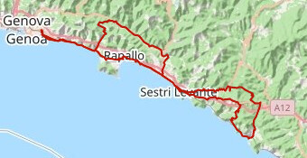 La RandoLevante 2018