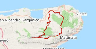 s.g.r. vico g. carpino