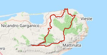 s.g.r. (vieste) peschici carpino