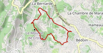 Eco Randonnée  Marcher pour un arbre