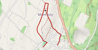 variante Joly (tracé définitif)