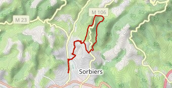 Trail des salamandres 12 km