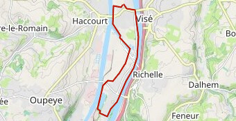 Jogging Devant le Pont à Visé