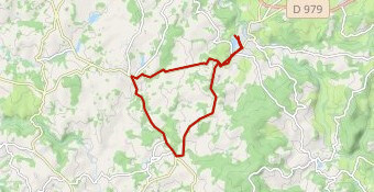 Vélo Triathlon S Chateauneuf la Foret 2020