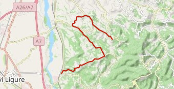 Crono a Squadre Giro Rosa 2019