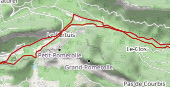 Découverte de la Forêt