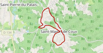 Circuit TDCM St Martin de Coux